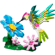 Wild Animals: Colorful Hummingbird