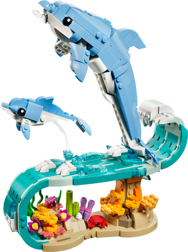 Sea Animals: Beautiful Dolphins