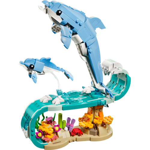 Sea Animals: Beautiful Dolphins