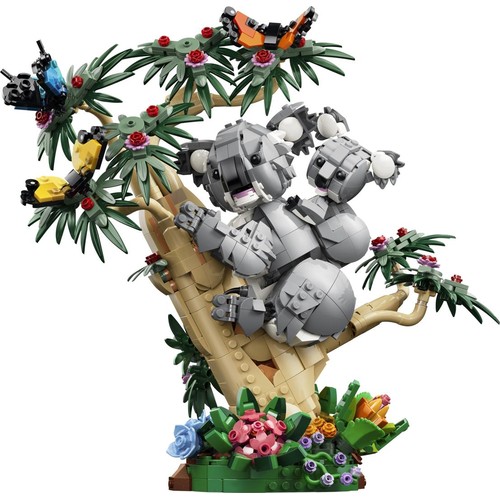 Wild Animals: Family of Koalas