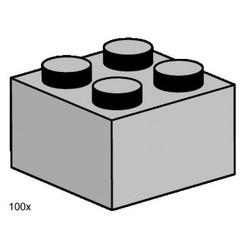 2 x 2 Light Gray Bricks