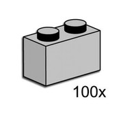 1 x 2 Brick Light Gray
