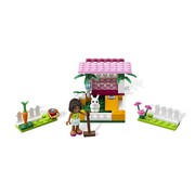 Andrea's Bunny House