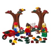 Fall Scene