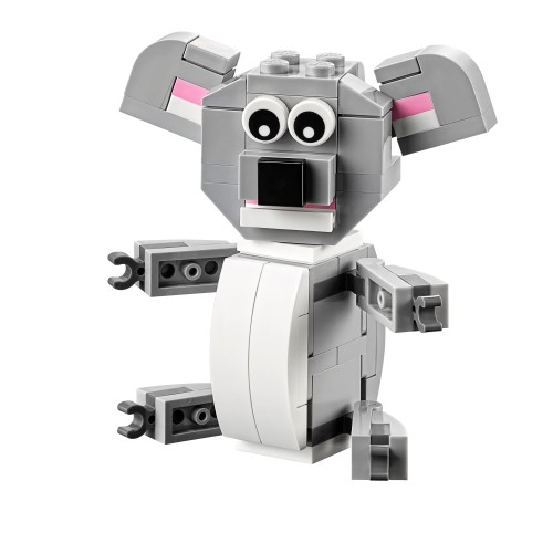 Koala