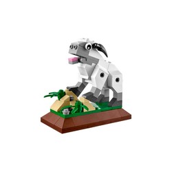 Year Of The Sheep, zdjęcie 1