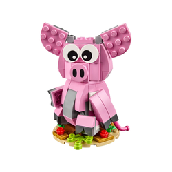 Year of the Pig, zdjęcie 1