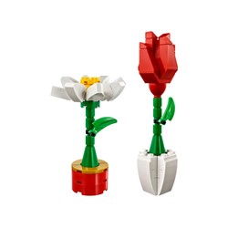 Flowers, zdjęcie 1