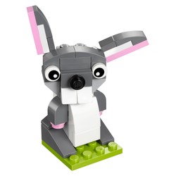 Bunny