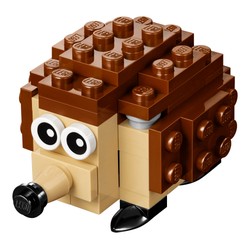 Hedgehog