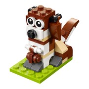 St. Bernard Dog