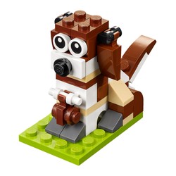St. Bernard Dog