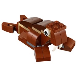 Walrus, zdjęcie 1