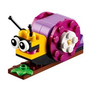 Snail