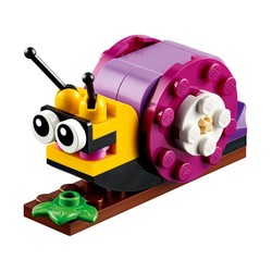 Snail