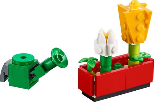Flowers and Watering Can