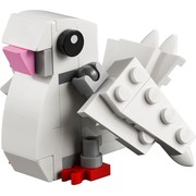 Human Rights Day Dove