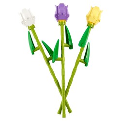 Tulips, zdjęcie 1