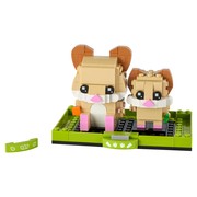 Hamster and Baby Hamster