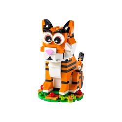 Year of the Tiger, zdjęcie 1