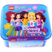 Friends Beauty of Building Lunch Box - Blue
