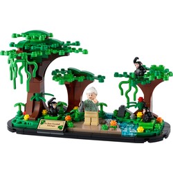 Jane Goodall Tribute, zdjęcie 1