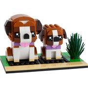 St. Bernard