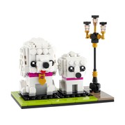 Poodle