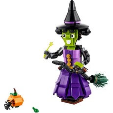 Mystic Witch (set 40562-1)