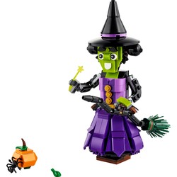 Mystic Witch, zdjęcie 1