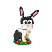 Year of the Rabbit