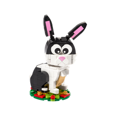 Year of the Rabbit (set 40575-1)
