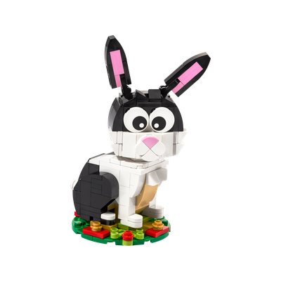 Year of the Rabbit