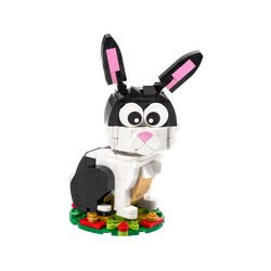 Year of the Rabbit, zdjęcie 1