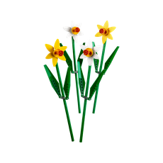 Daffodils (set 40646-1)