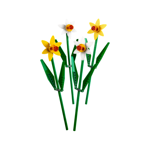Daffodils