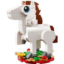 Year of the Horse, zdjęcie 1