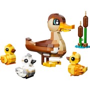 Duck Family