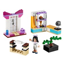 Emma's Karate Course (set 41002-1)