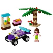 Olivia's Beach Buggy