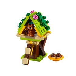 Squirrel's Tree House, zdjęcie 1
