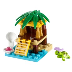 Turtle's Little Oasis (set 41019-1)