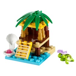 Turtle's Little Oasis, zdjęcie 1
