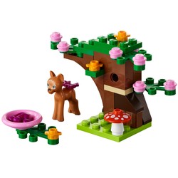 Fawn's Forest, zdjęcie 1