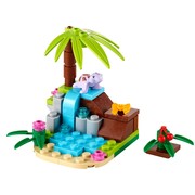 Turtle's Little Paradise