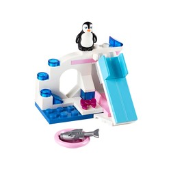 Penguin's Playground, zdjęcie 1