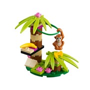 Orangutan's Banana Tree