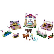 Heartlake Horse Show