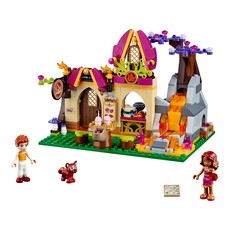 Azari and the Magical Bakery (set 41074-1)