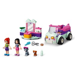 Cat Grooming Car, zdjęcie 1